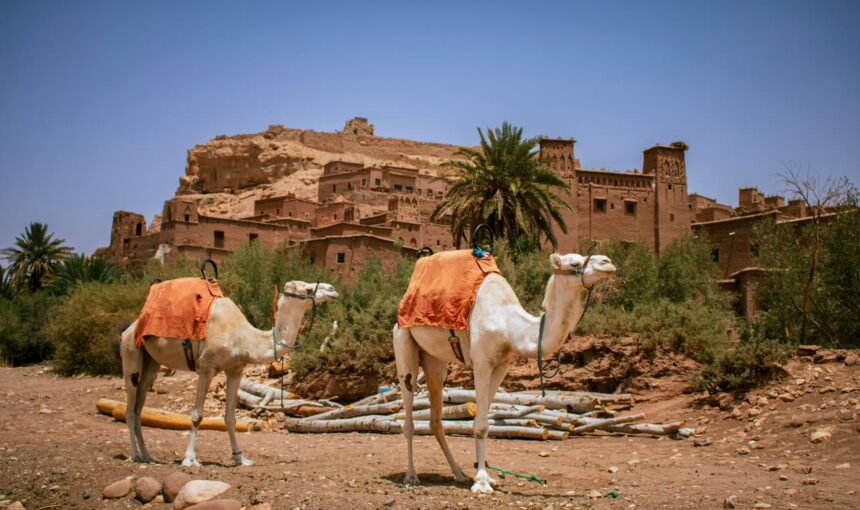 Morocco Desert Adventure: A Perfect Family Escape